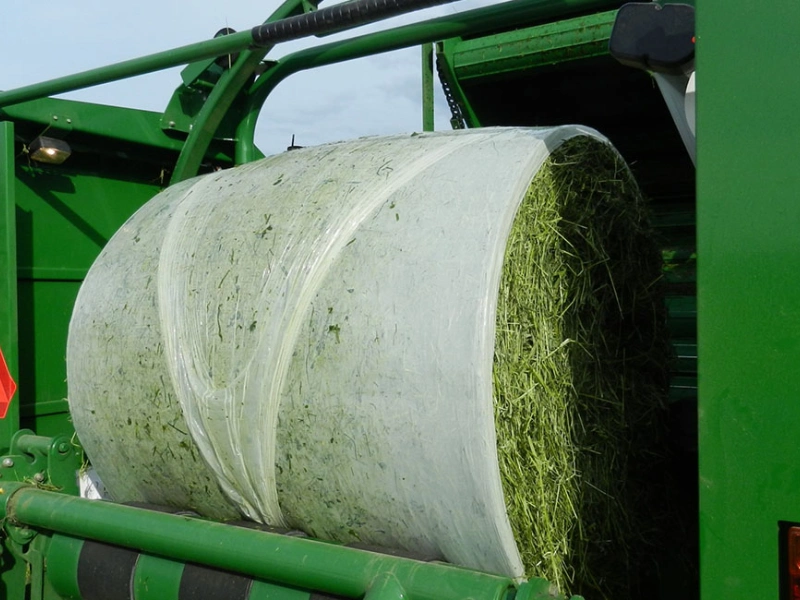 چه نکاتی هنگام خرید استرچ کشاورزی مهم است؟