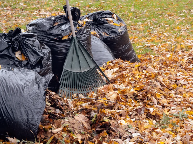 معرفی بهترین کیسه زباله مناسب باغ و حیاط بدون پارگی