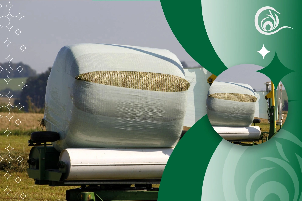 استرچ کشاورزی چیست؟ کاربردها، مزایا و نکات خرید